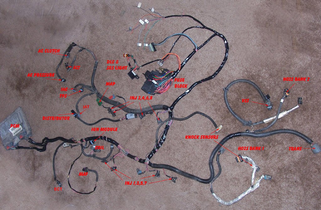 1995 Buick Roadmaster Ecu Wiring Diagram from www.lt1swap.com